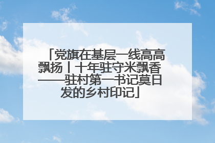 党旗在基层一线高高飘扬丨十年驻守米飘香——驻村第一书记莫日发的乡村印记